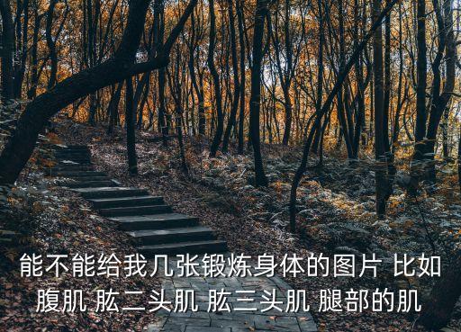 能不能給我?guī)讖堝憻捝眢w的圖片 比如腹肌 肱二頭肌 肱三頭肌 腿部的肌