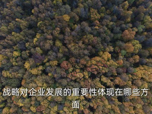 戰略對企業發展的重要性體現在哪些方面