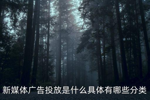 新媒體廣告，新媒體廣告產品包括什么
