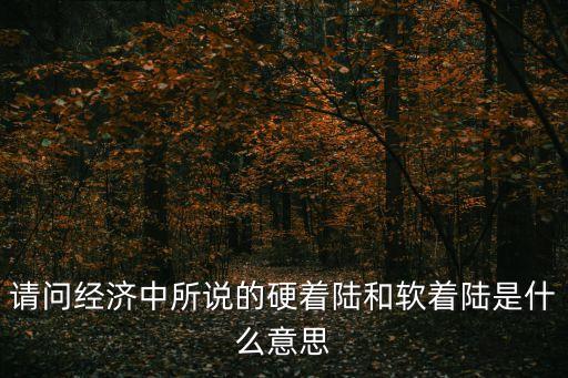 請問經濟中所說的硬著陸和軟著陸是什么意思