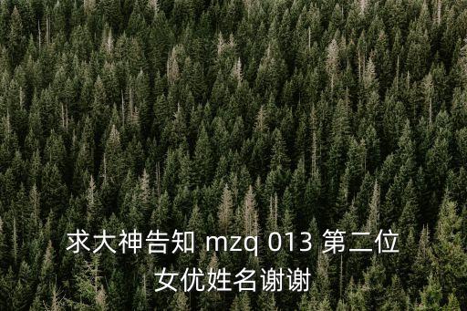 AV女大全列表，求大神告知 mzq 013 第二位女優(yōu)姓名謝謝
