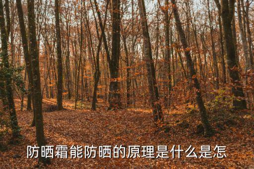 防曬霜能防曬的原理是什么是怎
