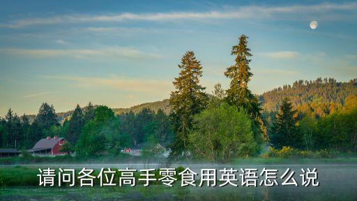 零食的英語，零食英文怎么說