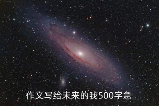 作文寫給未來的我500字急