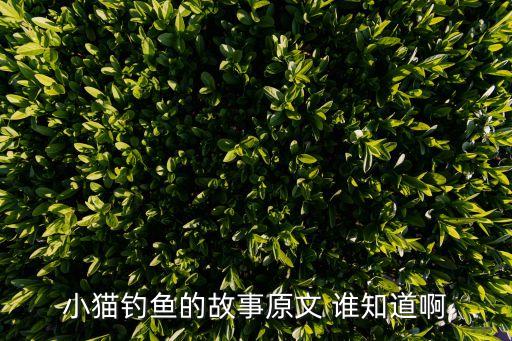 故事小貓釣魚，小貓釣魚童話故事作文