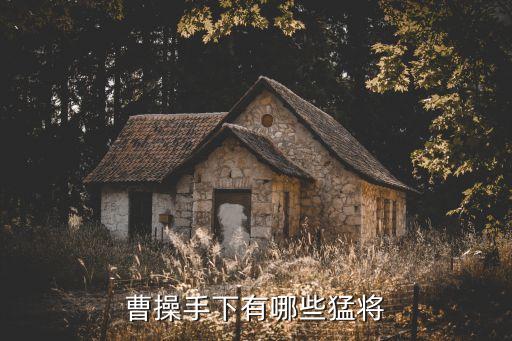 曹操手下有哪些猛將