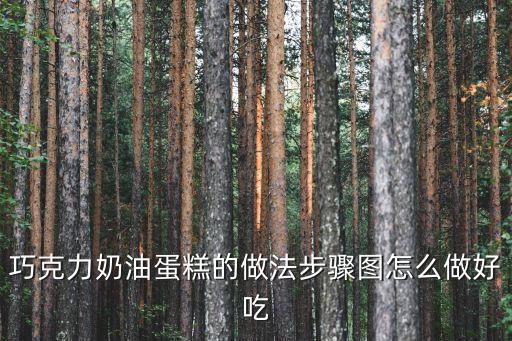 巧克力奶油蛋糕的做法步驟圖怎么做好吃