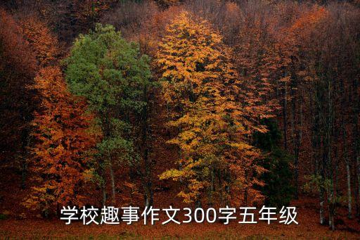 學校趣事作文300字五年級