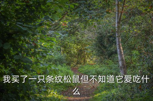 我買了一只條紋松鼠但不知道它愛吃什么