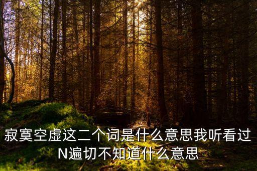 寂寞空虛這二個詞是什么意思我聽看過N遍切不知道什么意思