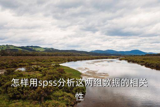 怎樣用spss分析這兩組數(shù)據(jù)的相關(guān)性