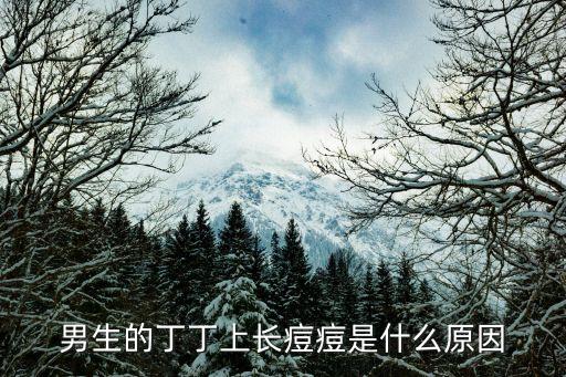 男生的丁丁上長痘痘是什么原因