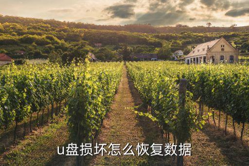 u盤損壞怎么恢復數據
