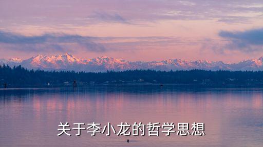 關于李小龍的哲學思想