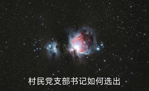 支部書記選舉，黨支部書記選舉辦法