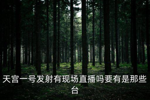 天宮一號(hào)發(fā)射有現(xiàn)場(chǎng)直播嗎要有是那些臺(tái)