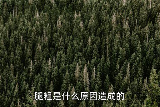 腿粗是什么原因造成的