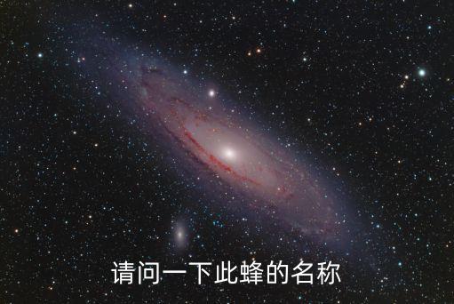 大虎頭蜂，高梁酒泡虎頭蜂的度數(shù)