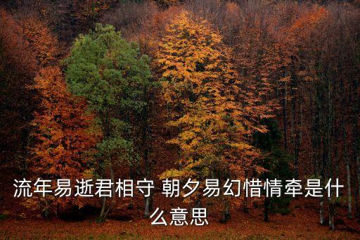 流年易逝君相守 朝夕易幻惜情牽是什么意思