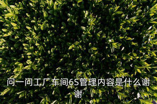 車間6s現場管理，6S現場管理詳細內容