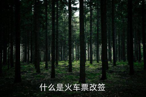 火車票改簽，什么是火車票改簽