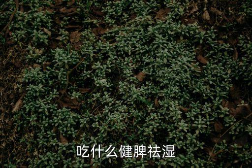 健脾祛濕吃什么，吃什么健脾祛濕