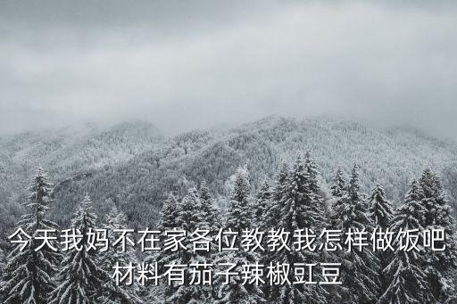 今天我媽不在家各位教教我怎樣做飯吧材料有茄子辣椒豇豆