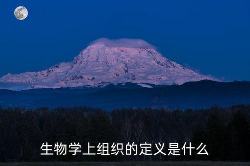 生物學(xué)上組織的定義是什么