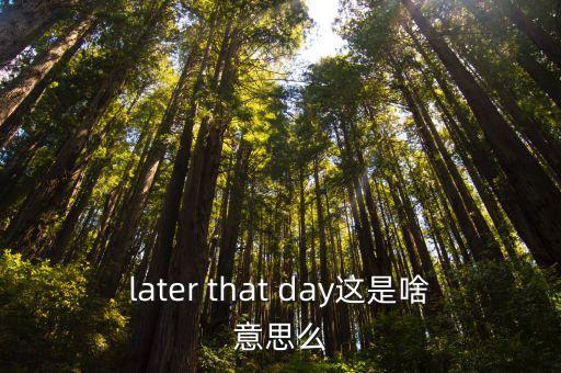 later that day這是啥意思么