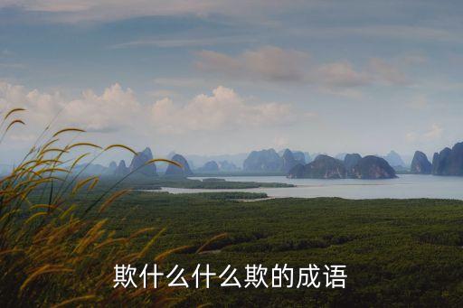 欺什么什么欺的成語(yǔ)