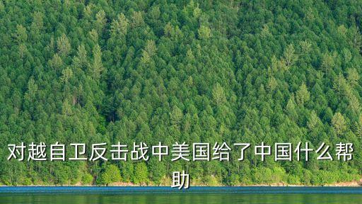 對越自衛(wèi)反擊戰(zhàn)中美國給了中國什么幫助