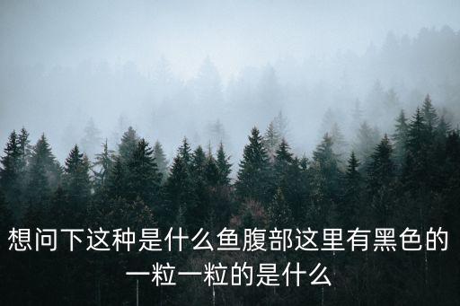 清苔鼠，成年清苔鼠體長多少請回答 謝謝
