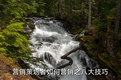 營銷策劃者如何營銷之八大技巧