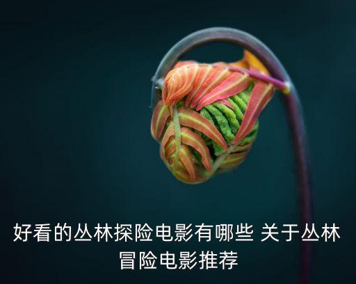 好看的叢林探險電影有哪些 關(guān)于叢林冒險電影推薦
