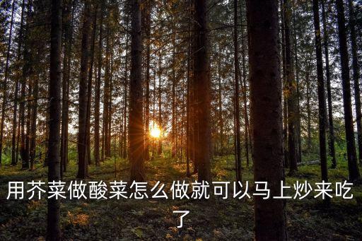 用芥菜做酸菜怎么做就可以馬上炒來吃了