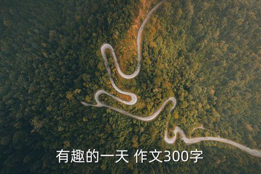 有趣的一天 作文300字