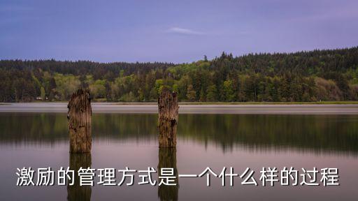 激勵的管理方式是一個什么樣的過程