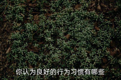 良好行為習(xí)慣，你認(rèn)為良好的行為習(xí)慣有哪些