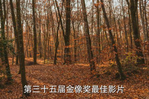 第35屆香港電影金像獎，第35界香港電影節