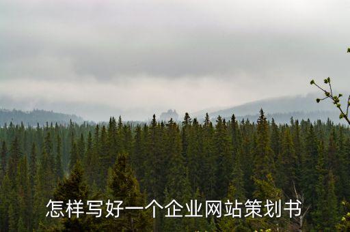 企業(yè)網(wǎng)站策劃書(shū)，企業(yè)網(wǎng)站建設(shè)策劃書(shū)該怎么寫(xiě)