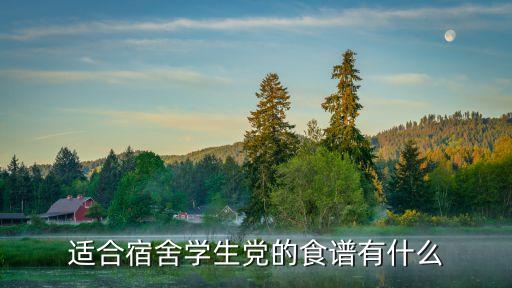 學生餐菜譜，給我一個青少年一個星期的三餐食譜 謝謝