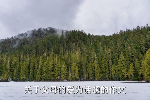 關于父母的愛為話題的作文