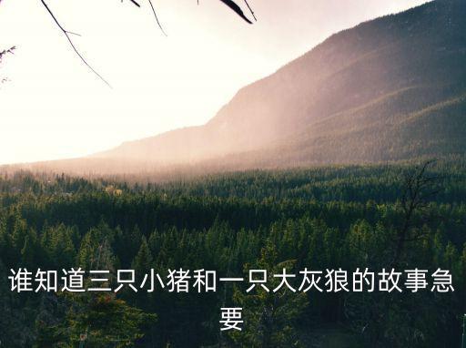 誰知道三只小豬和一只大灰狼的故事急要