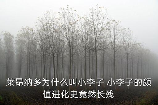 為什么叫小李子，小李子是誰