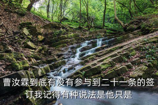 曹汝霖到底有沒(méi)有參與到二十一條的簽訂我記得有種說(shuō)法是他只是