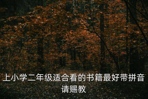 上小學二年級適合看的書籍最好帶拼音請賜教