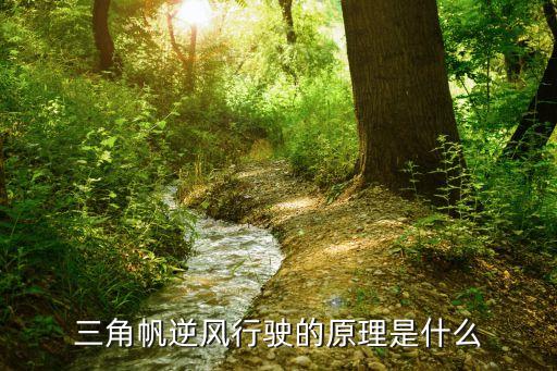 三角帆逆風行駛的原理是什么