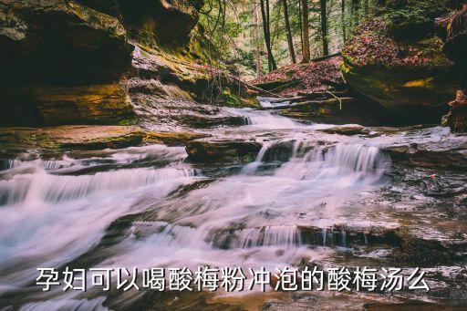 孕婦可以喝酸梅粉沖泡的酸梅湯么