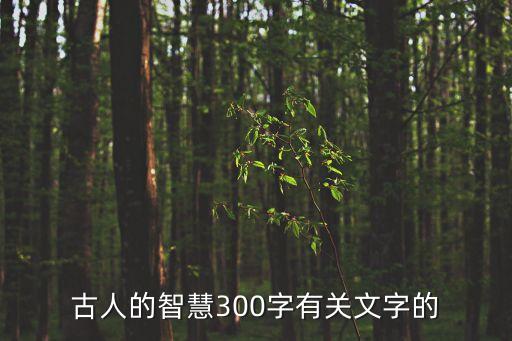 古人的智慧，我國古人什么的智慧形容詞