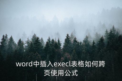 word中插入execl表格如何跨頁使用公式